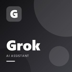 Grok xAI API key $100 1 Month (30D Warranty)