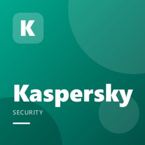 KASPERSKY PREMIUM + VPN 1 YEAR (300-day warranty)