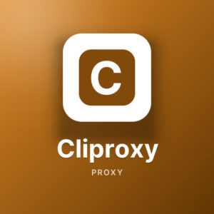 Cliproxy – 1GB Data